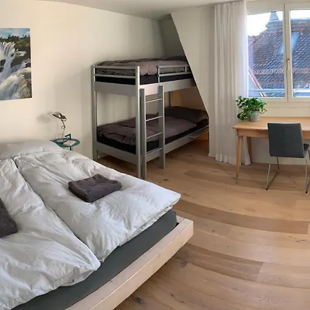 Luxury Penthouse With Mountain View Terrace Apartment